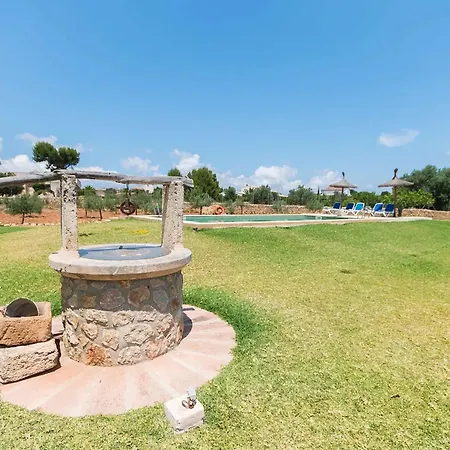 Mosca, Garden And Swimming Pool Close To Villa Alcudia (Mallorca)
