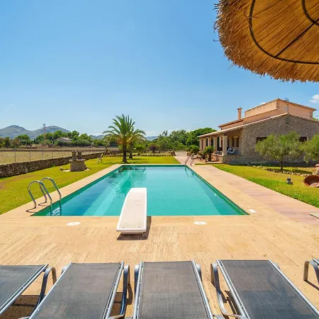 Mosca, Garden And Swimming Pool Close To Villa Alcudia (Mallorca)
