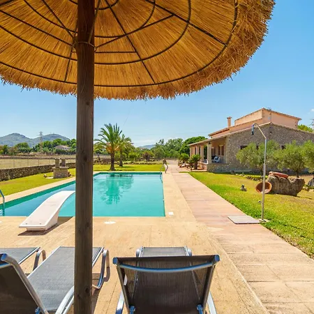 Mosca, Garden And Swimming Pool Close To Villa Alcudia (Mallorca)