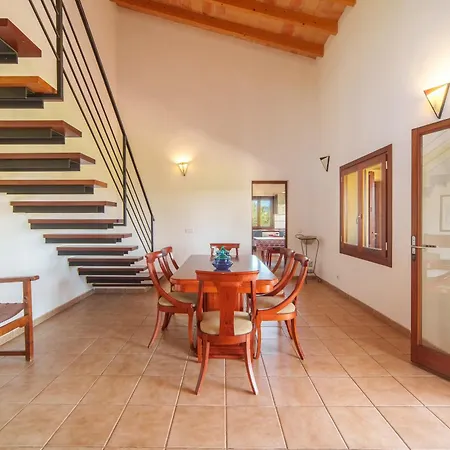 Mosca, Garden And Swimming Pool Close To Villa Alcudia (Mallorca)