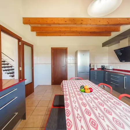Mosca, Garden And Swimming Pool Close To Villa Alcudia (Mallorca)